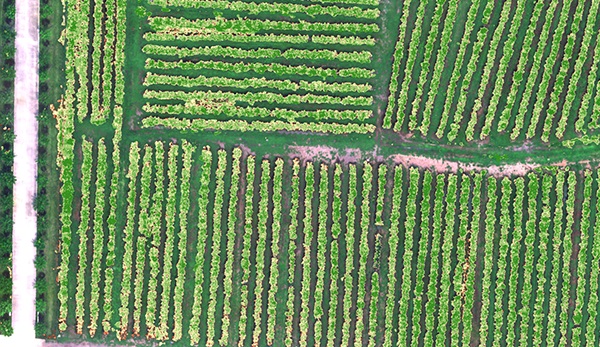 28娱乐CW航磁系统